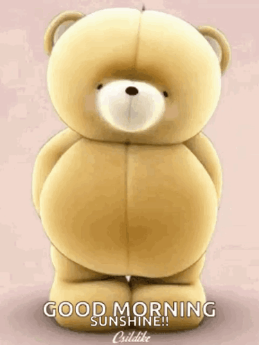 A Teddy Bear Is Standing On Its Hind Legs And Says Good Morning Sunshine ! GIF