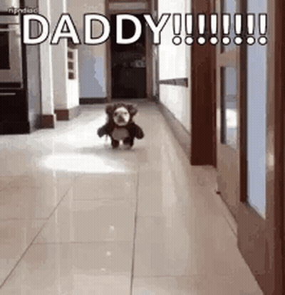 A Teddy Bear Is Walking Down A Hallway And Says `` Daddy '' . GIF