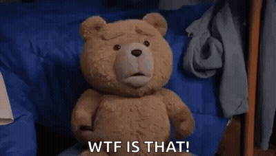 A Teddy Bear Is Walking On A Rug In A Room With The Words `` Wtf Is That '' . GIF