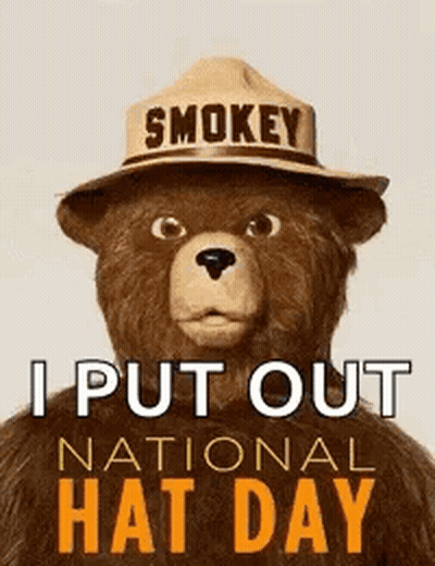 A Teddy Bear Is Wearing A Smokey Hat And Says I Put Out National Hat Day GIF