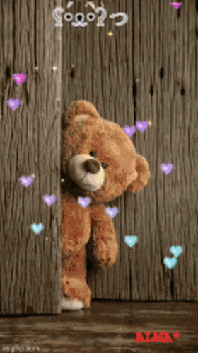 A Teddy Bear Peeking Out From Behind A Wooden Wall With The Words Buenos Dias Written On It GIF