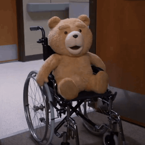 A Teddy Bear Sits In A Wheelchair In A Hospital GIF