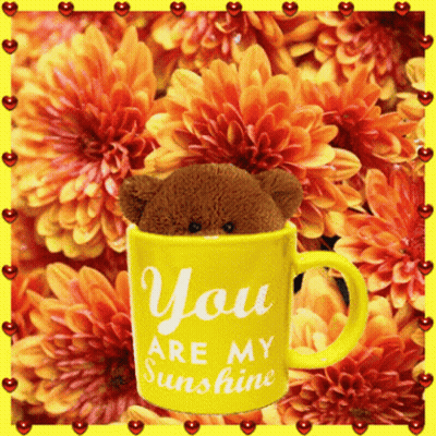 A Teddy Bear Sits In A Yellow Mug That Says You Are My Sunshine GIF