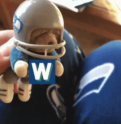 A Teddy Bear Wearing A Football Helmet And Holding A Sign With The Letter W On It GIF