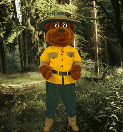 A Teddy Bear Wearing A Yellow Shirt And Green Pants GIF