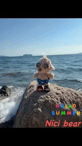 A Teddy Bear Wearing Swim Trunks And Sunglasses Is Standing On A Rock Near The Ocean GIF