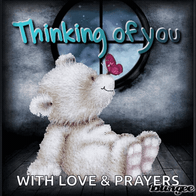 A Teddy Bear With A Butterfly On Its Nose Says Thinking Of You GIF