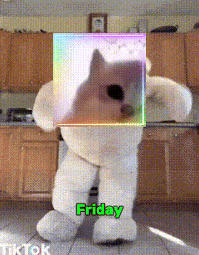 A Teddy Bear With A Picture Of A Cat On It And The Words Friday GIF