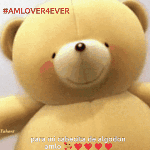 A Teddy Bear With The Hashtag # Amlover4ever GIF