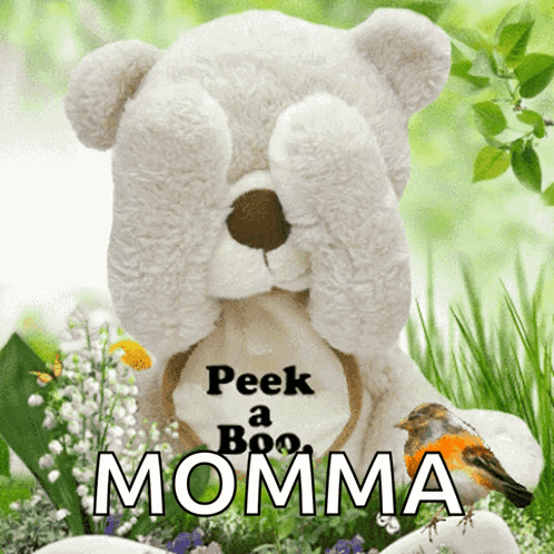 A Teddy Bear With The Words Peek A Boo Momma On Its Chest GIF