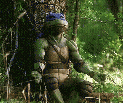 A Teenage Mutant Ninja Turtle Is Sitting In The Woods GIF