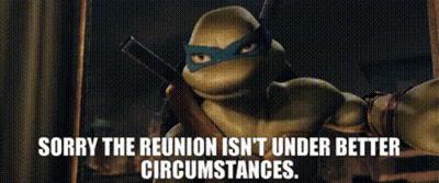 A Teenage Mutant Ninja Turtle Says Sorry The Reunion Isn T Under Better Circumstances GIF