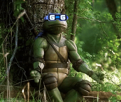 A Teenage Mutant Ninja Turtle Wearing A Pair Of Sunglasses With The Letter G On Them GIF