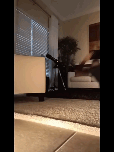 A Telescope Sits On A Tripod In A Living Room Next To A Couch GIF