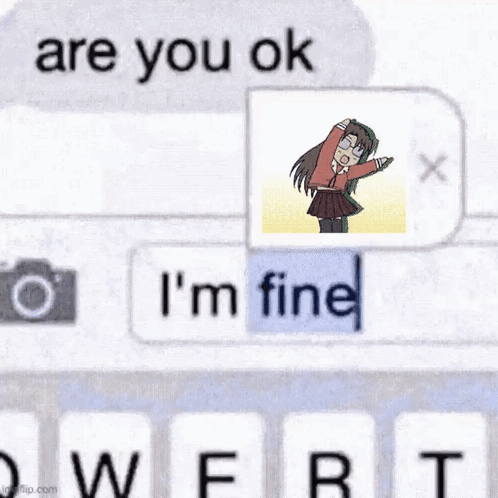 A Text Message With A Picture Of A Girl And The Words Are You Ok I 'M Fine . GIF
