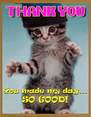 A Thank You Card With A Cat Wearing A Black Hat GIF