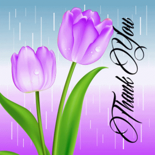 A Thank You Card With Two Purple Tulips And Rain Drops GIF
