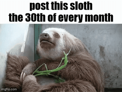 A Three Toed Sloth Is Eating A Green Plant While Laying Down . GIF