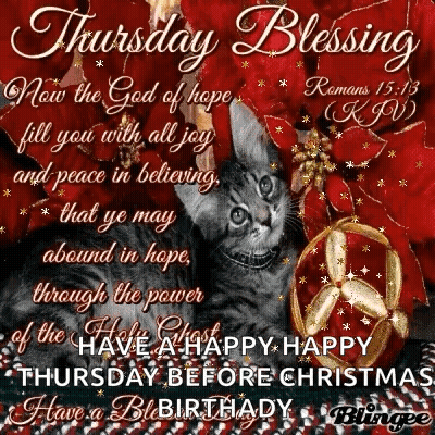 A Thursday Blessing With A Cat And Christmas Decorations GIF