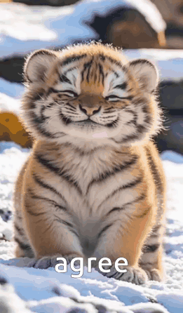A Tiger Cub Is Sitting In The Snow With Its Eyes Closed . GIF