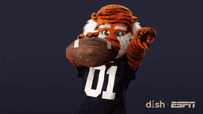 A Tiger Mascot Holding A Football With The Number 01 On It GIF