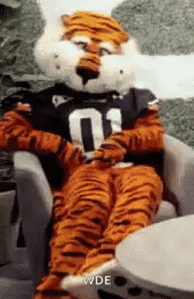 A Tiger Mascot Is Sitting In A Chair Wearing A Jersey . GIF