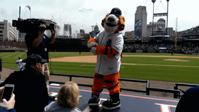 A Tiger Mascot Stands On A Baseball Field With A Cameraman Behind Him GIF