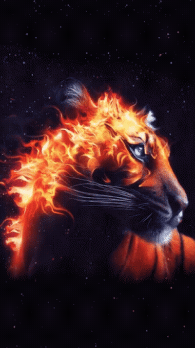 A Tiger 'S Head Is Covered In Flames On A Black Background GIF