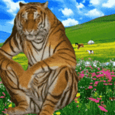 A Tiger Sits In A Field Of Flowers GIF
