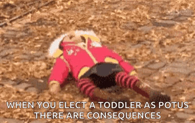 A Toddler Is Laying On The Ground With The Caption When You Elect A Toddler As Potus There Are Consequences GIF