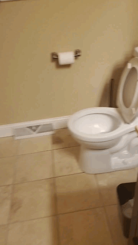 A Toilet In A Bathroom With The Lid Up And A Roll Of Toilet Paper On The Wall GIF