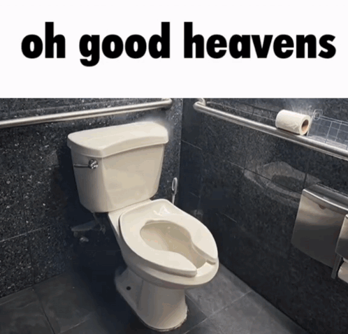 A Toilet In A Bathroom With The Words Oh Good Heavens GIF