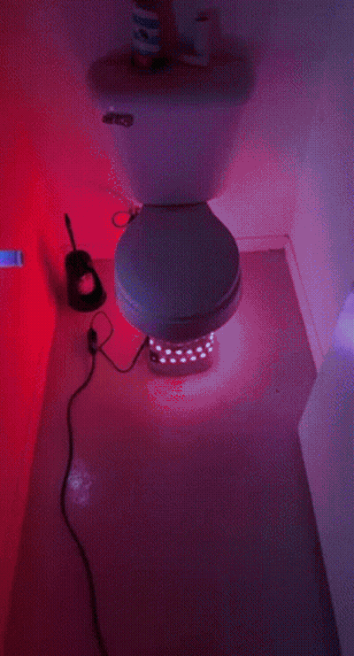 A Toilet Sits In A Bathroom Next To A Toothbrush And Paper Towels GIF