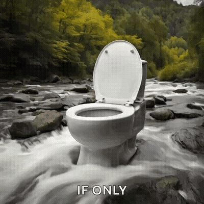 A Toilet Sits In The Middle Of A River With The Words If Only Written Below It GIF