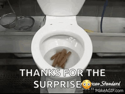 A Toilet With Cinnamon Sticks Coming Out Of It Says Thanks For The Surprise GIF