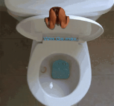A Toilet With The Lid Open And The Word Wm.go.max On The Seat GIF