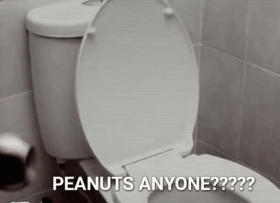 A Toilet With The Lid Up And The Words Peanuts Anyone On It GIF