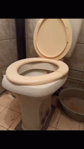 A Toilet With The Lid Up In A Bathroom Next To A Bowl GIF