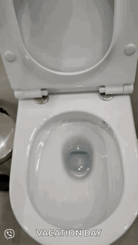 A Toilet With The Words " Vacation Day " On It GIF