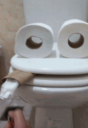 A Toilet With Two Rolls Of Toilet Paper On Top Of It GIF