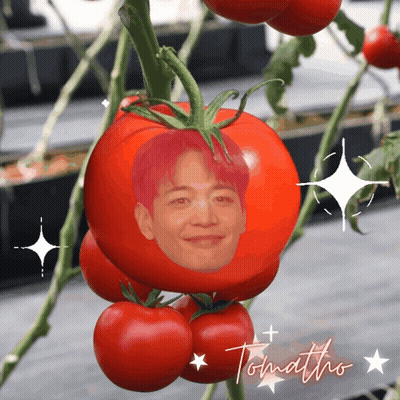 A Tomato With A Picture Of A Man 'S Face On It And The Word Tomato On It GIF