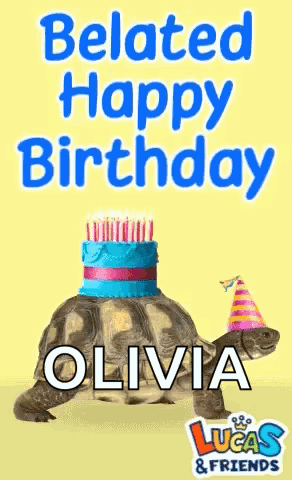 A Tortoise Wearing A Party Hat And A Cake On Its Head With The Name Olivia On It GIF