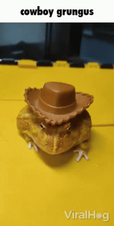 A Toy Frog Wearing A Cowboy Hat With The Words Cowboy Grungus Above It GIF