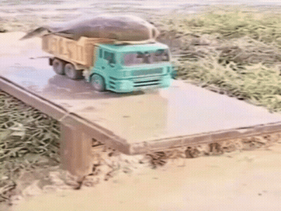 A Toy Truck With A Fish On Top Of It GIF