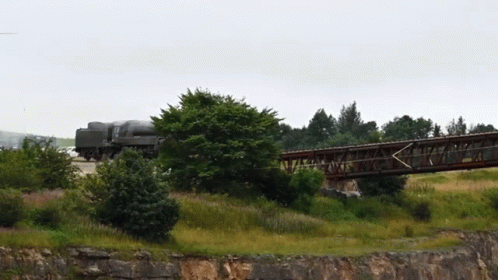 A Train Is Crossing A Bridge Over A Grassy Field GIF