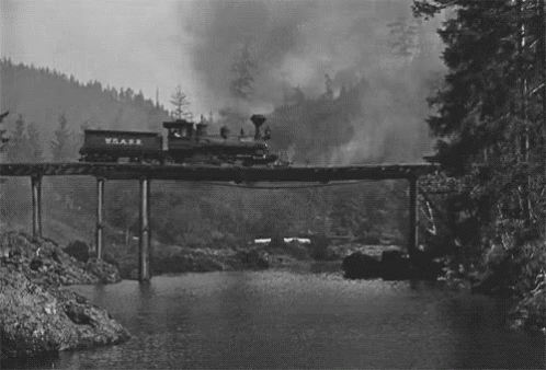 A Train Is Going Over A Bridge Over A River In The Woods . GIF