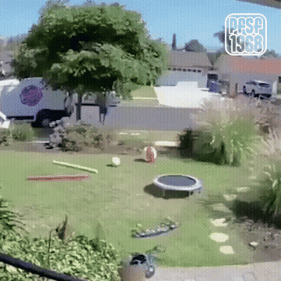 A Trampoline Is In The Middle Of A Grassy Yard With A Sign That Says Pasp 1968 GIF