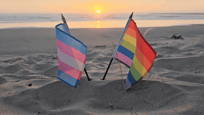 A Transgender Flag And A Rainbow Flag Are In The Sand On A Beach GIF
