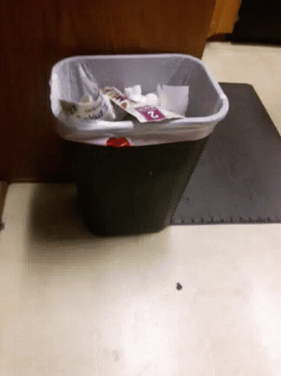 A Trash Can With A Bag That Says ' Mad ' On It Sits On A Table GIF