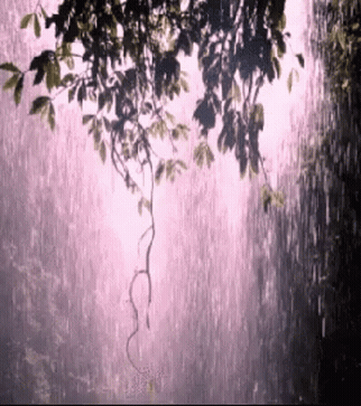 A Tree Branch Hanging Over A Waterfall With A Pink Background GIF